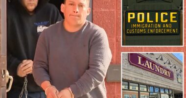 ICE arrests âsickoâ illegal migrant accused of kidnapping 4-year-old girl from Long Island laundromatÂ 